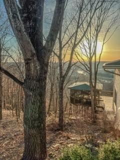 271 Holiday Island Dr, Holiday Island, AR 72631