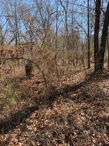 3 Crosshill Drive, Bella Vista, AR 72715