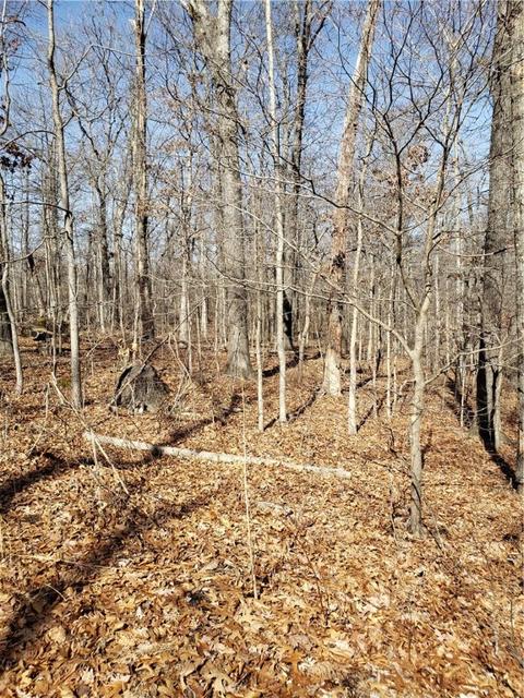 Peebles Circle, Bella Vista, AR 72715
