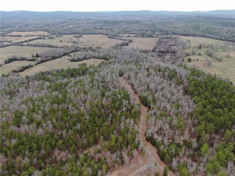 Horseshoe Bend Road, Mt Ida, AR 71970