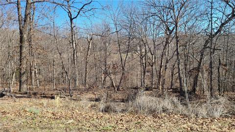 Damerham Lane, Bella Vista, AR 72714