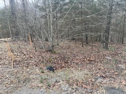6 Arden Lane # 5, Bella Vista, AR 72714