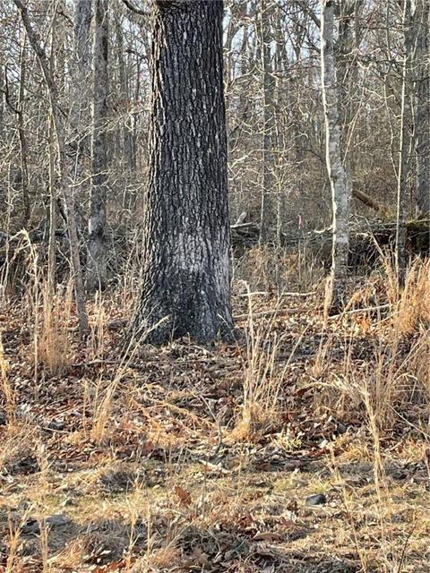 Rockhill Lane Lot 14/block 4, Bella Vista, AR 72715