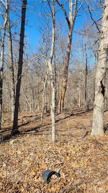 Exbury Lane, Bella Vista, AR 72714