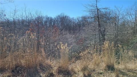 Havant Circle, Bella Vista, AR 72714