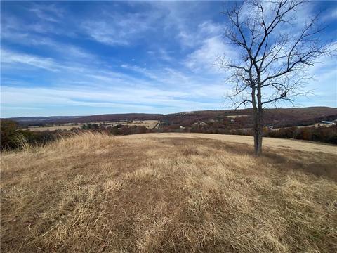 Tbd Hwy 295, Wesley, AR 72773
