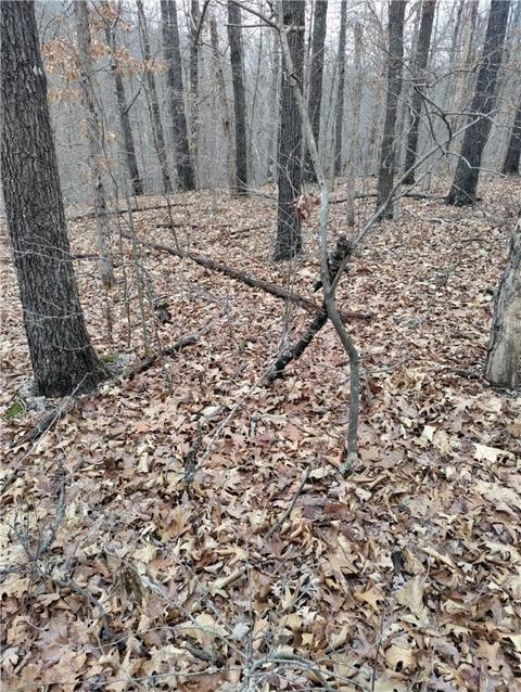 Milton Lane, Bella Vista, AR 72714