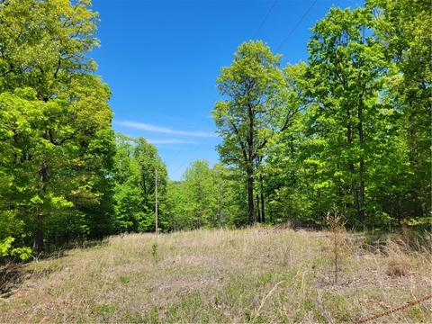 2102 Madison 3350, Witter, AR 72776 photo 1