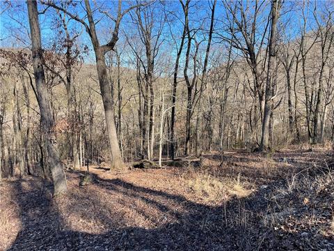 23 Wildcat Ln #11, Holiday Island, AR 72631