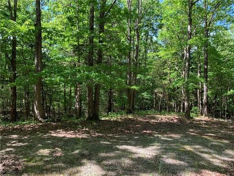 N Sassafras Hill Road, Springdale, AR 72764