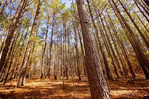 2802 Madison 3370, Witter, AR 72776 photo 24