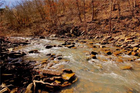 2802 Madison 3370, Witter, AR 72776 photo 9