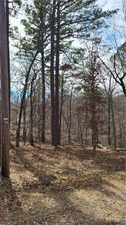 Bellingham Circle, Bella Vista, AR 72714