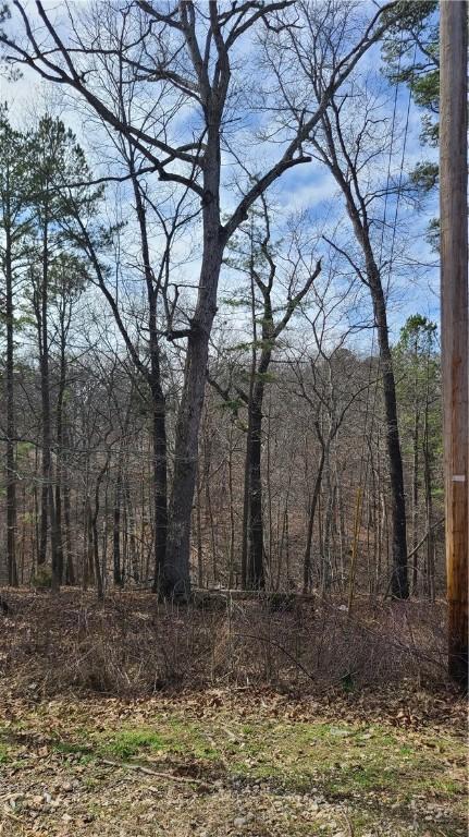 Bellingham Circle, Bella Vista, AR 72714