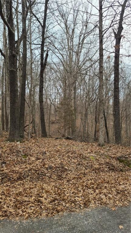 Bedale Lane, Bella Vista, AR 72715