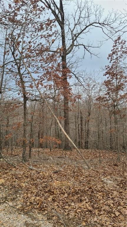 Bracknell Lane, Bella Vista, AR 72715