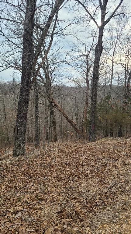 Orwell Circle, Bella Vista, AR 72715