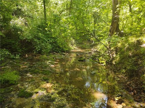 Lot A Twelve Corners Road, Garfield, AR 72732