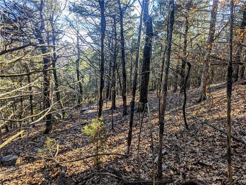 Lots 8, Garfield, AR 72732 photo 6