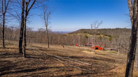 369 Fax Line Rd, Marshall, AR 72650 photo 29