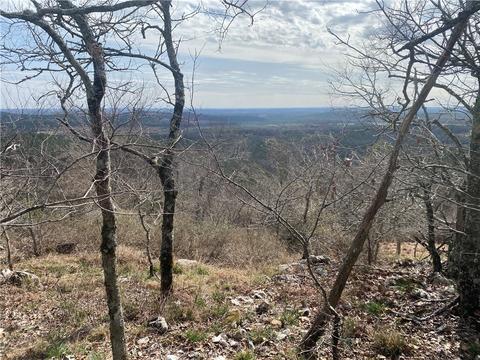 Hall Cemetery Road, Other, AR 71952