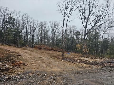 Parks Corner Wc 287 Road, Prairie Grove, AR 72753