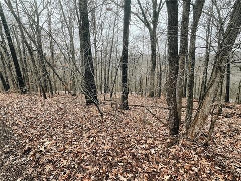 Padbury/snaith Drive, Bella Vista, AR 72715