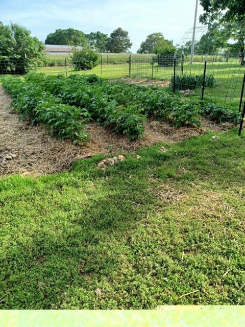 1702 Elbert Rd, Anderson, MO 64831 photo 9