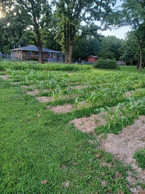 1702 Elbert Rd, Anderson, MO 64831 photo 8