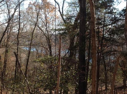 Oak Leaf Drive & Country Club Circle, Garfield, AR 72732