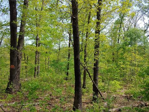 Dover Drive, Bella Vista, AR 72714