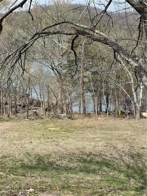 Bandy Lane, Holiday Island, AR 72631