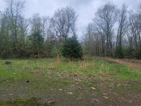 250 Hickory Hill Rd, Drasco, AR 72530