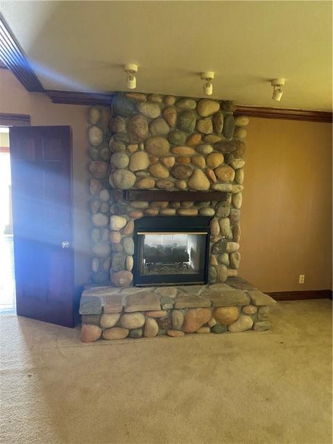 12421 Route E, Pineville, MO 64856 photo 31