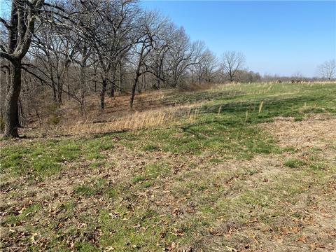12421 Route E, Pineville, MO 64856 photo 18