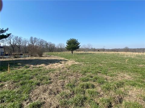 12421 Route E, Pineville, MO 64856 photo 14
