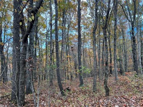 Madison 5220, Combs, AR 72721 photo 10