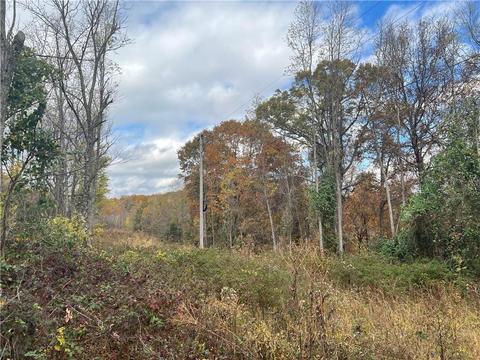 Madison 5220, Combs, AR 72721 photo 3