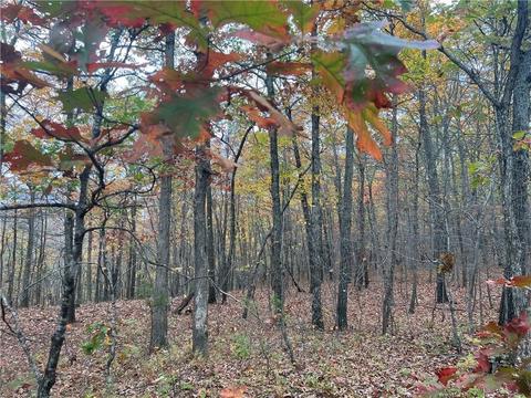 Madison 5220, Combs, AR 72721 photo 9