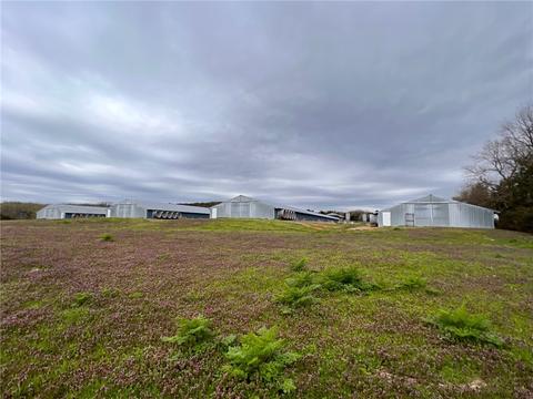 Tbd County Road 425, Berryville, AR 72616