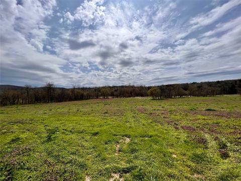 Tbd County Road 422, Berryville, AR 72616