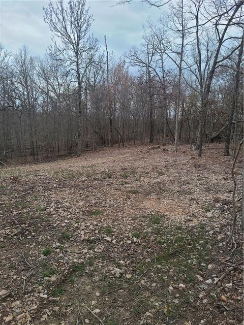 690 Grand Ln #30 ACRES, Anderson, MO 64831