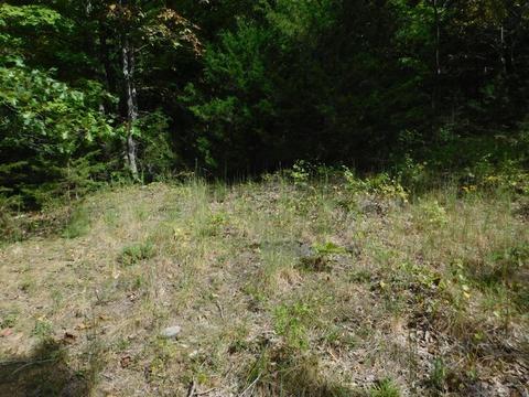 000 Will Jones Rd, Jasper, AR 72641 photo 6