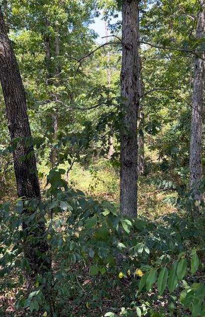 Rillington Drive, Bella Vista, AR 72714