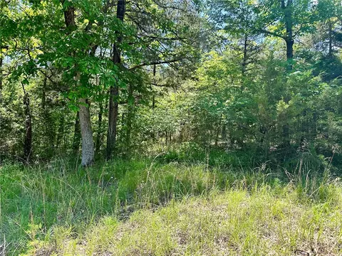39 Dove Ln, Holiday Island, AR 72631