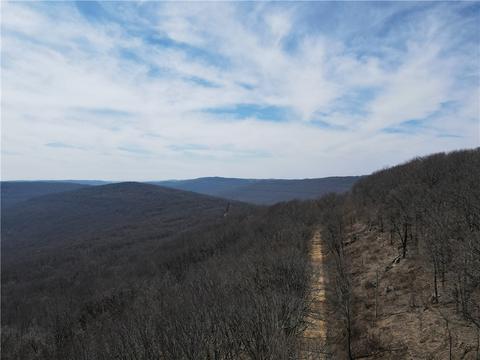 Winfrey Valley Road, Winslow, AR 72959