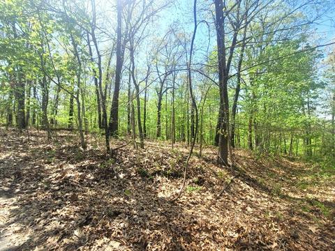 11 Greenlaw Lane, Bella Vista, AR 72715