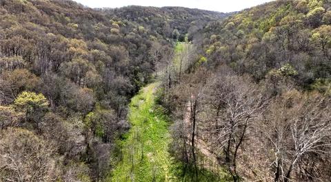 Tbd N Fir Lane, Berryville, AR 72616