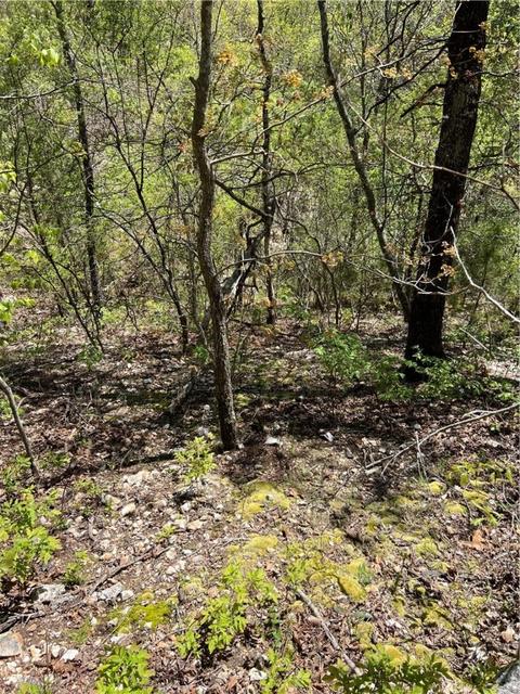 5 Whitehaven Lane, Bella Vista, AR 72714