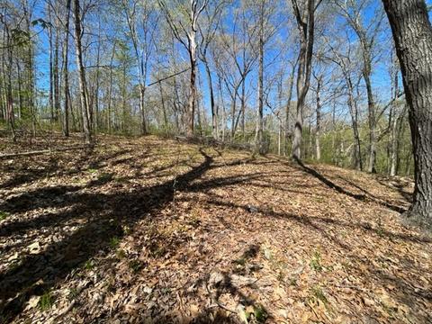 Stewkley Lane, Bella Vista, AR 72714